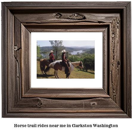 horse trail rides near me in Clarkston, Washington